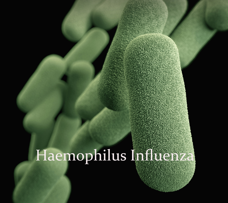 haemophilus influenzae - types, symptoms and treatment